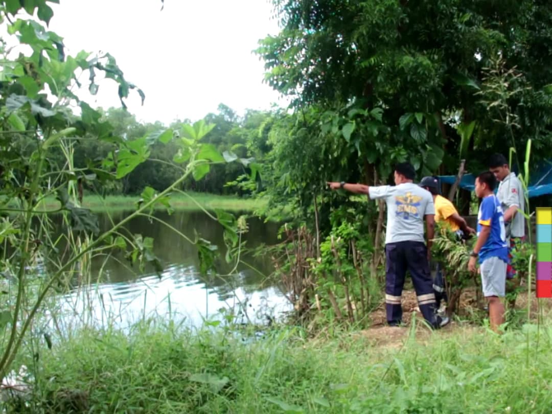 เตือน ! พบจระเข้ในหนองน้ำ จ.นครสวรรค์ ขณะที่สงขลาจระเข้หลุดจากฟาร์ม ยังไม่เจอ
