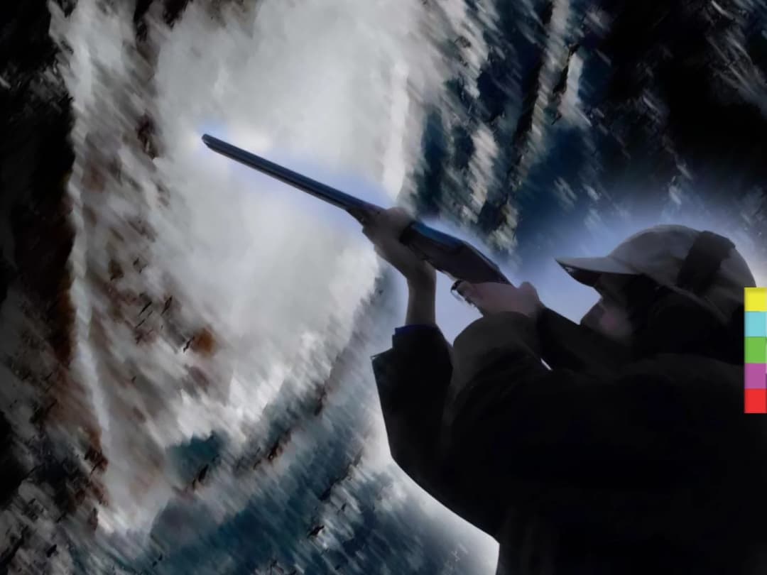 “ยิงปืนไปที่เฮอร์ริเคนเออร์มา” คืองานกิจกรรมที่ชาวฟลอริดาถูกเชิญ