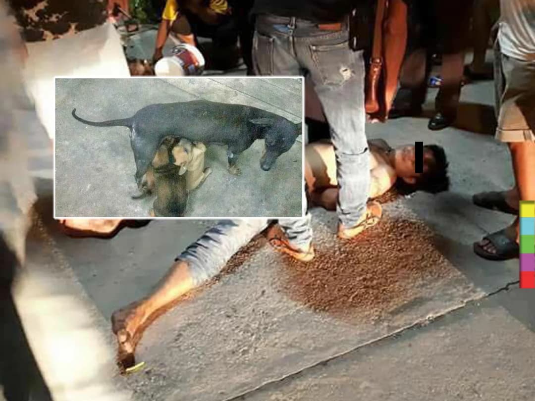 รุมตื้บ ! ชายใจเหี้ยมใช้จอบทุบหัวฆ่าแม่หมาขณะให้นมลูก จะเอาไปเผากิน