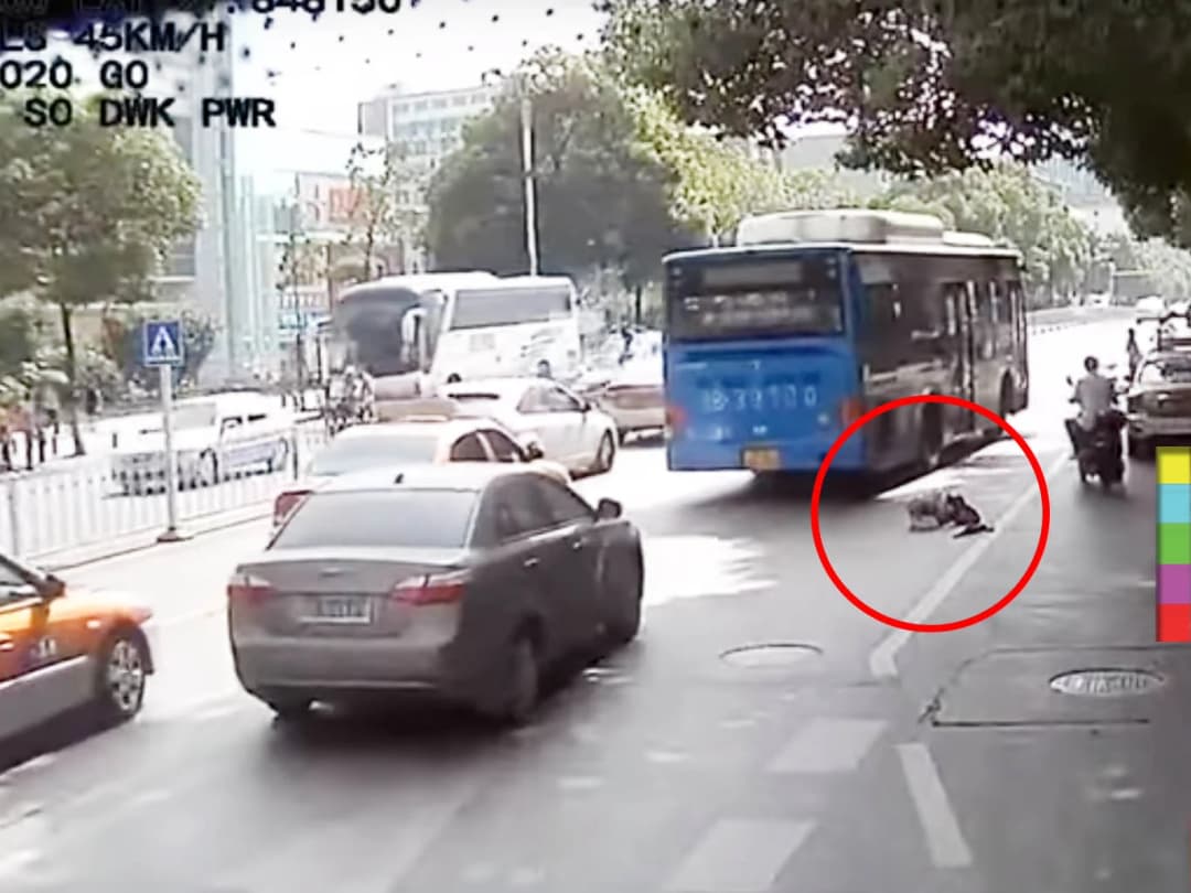 เปิดคลิป ! ชายชราล้มกลางถนน นอนนิ่งนับนาที ไร้คนปรานีช่วยเหลือ