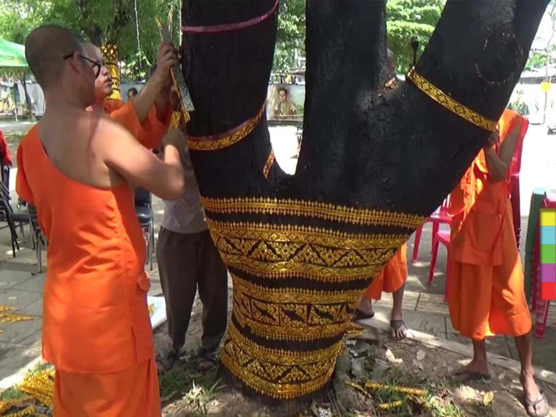 งดงาม ! พระวัดจุฬามณีเกิดไอเดียติดลายกนกต้นไม้ สร้างสรรค์งานศิลป์สองแคว ๙ ตามพ่อ
