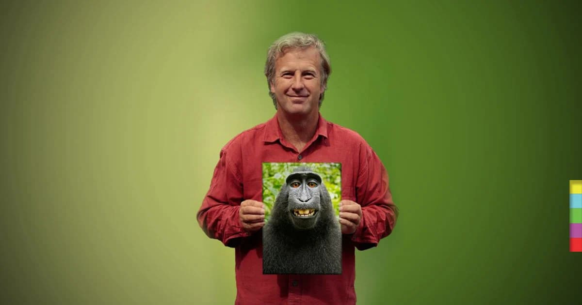 จบศึกลิขสิทธิ์ “ภาพลิงเซลฟี่” ช่างภาพอังกฤษเจ้าของกล้องชนะ