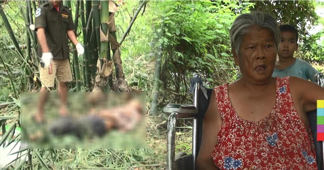 ตาฐานะยากจน รับจ้างตัดต้นไผ่ ถูกไฟช็อตดับ ! สลด ยายพิการซ้ำซ้อน ต้องอยู่เพียงลำพัง