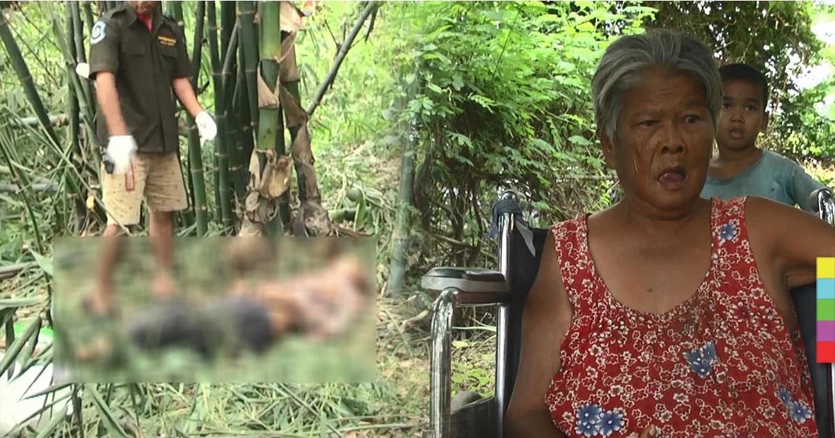 ตาฐานะยากจน รับจ้างตัดต้นไผ่ ถูกไฟช็อตดับ ! สลด ยายพิการซ้ำซ้อน ต้องอยู่เพียงลำพัง