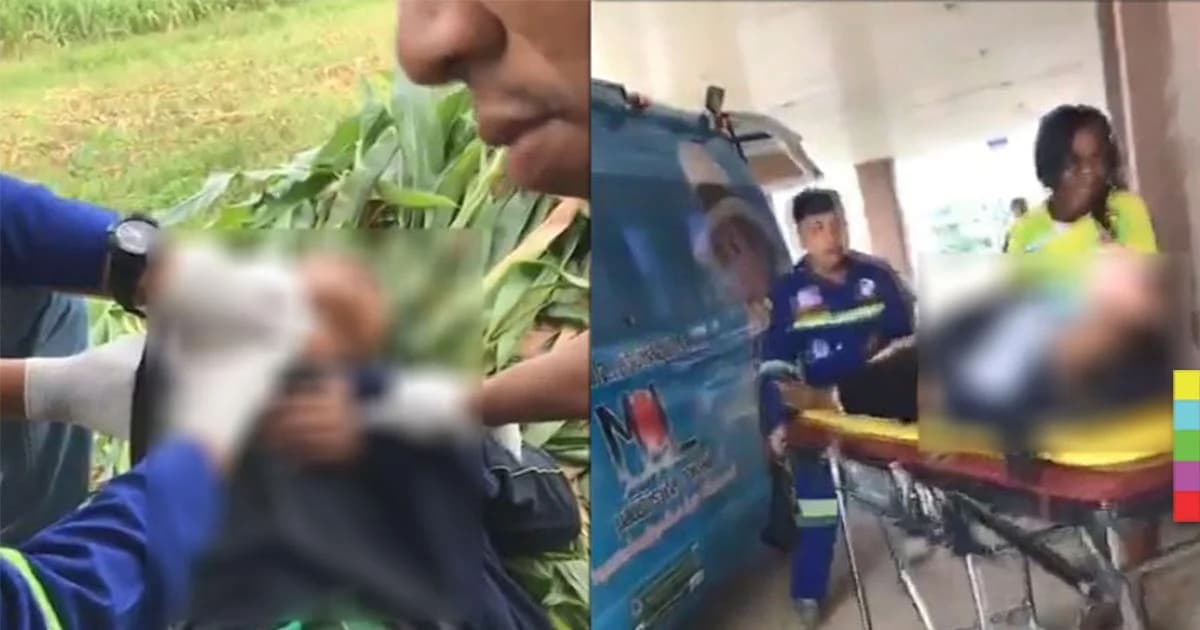 สยอง ! คนงานรับจ้างบดต้นข้าวโพด พลาด แขนเข้าไปในเครื่องโม่ ปั่นบดแขนขาดเกือบถึงไหล่