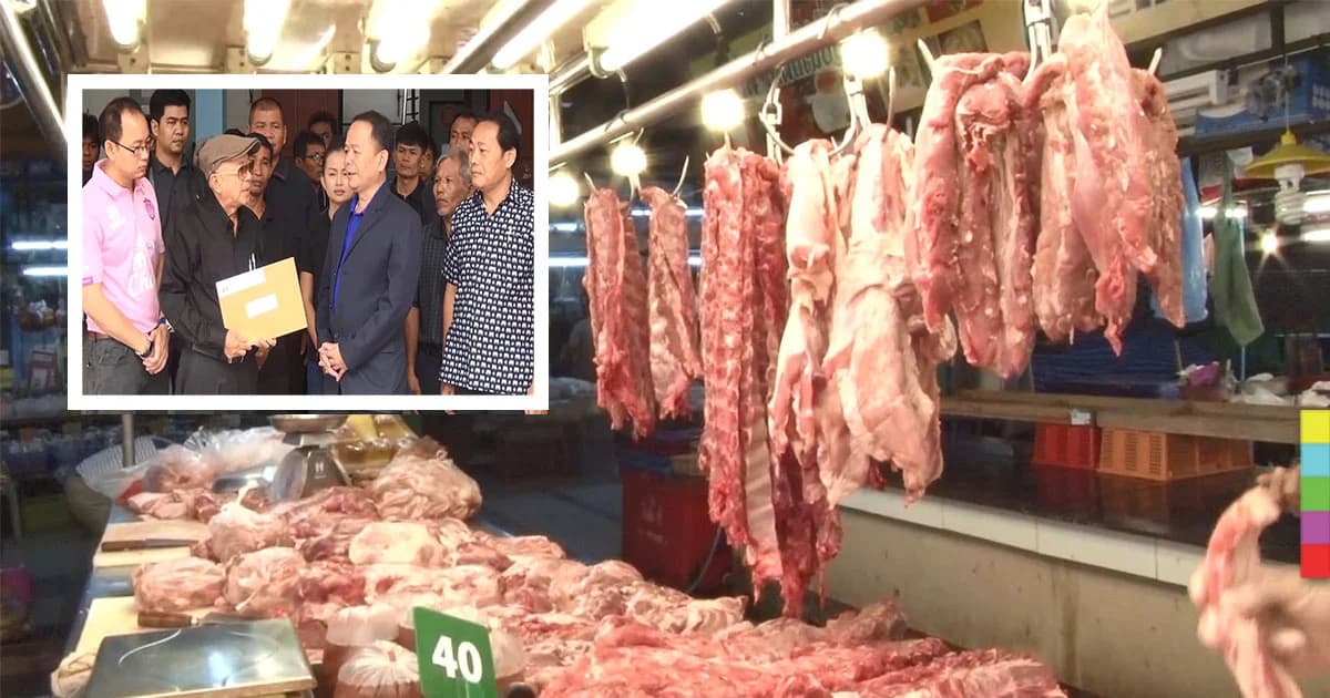 สมาคมผู้เลี้ยงสุกร คัดค้านนำเข้าเนื้อหมูจากอเมริกา หวั่นกระทบเกษตรกรไทย