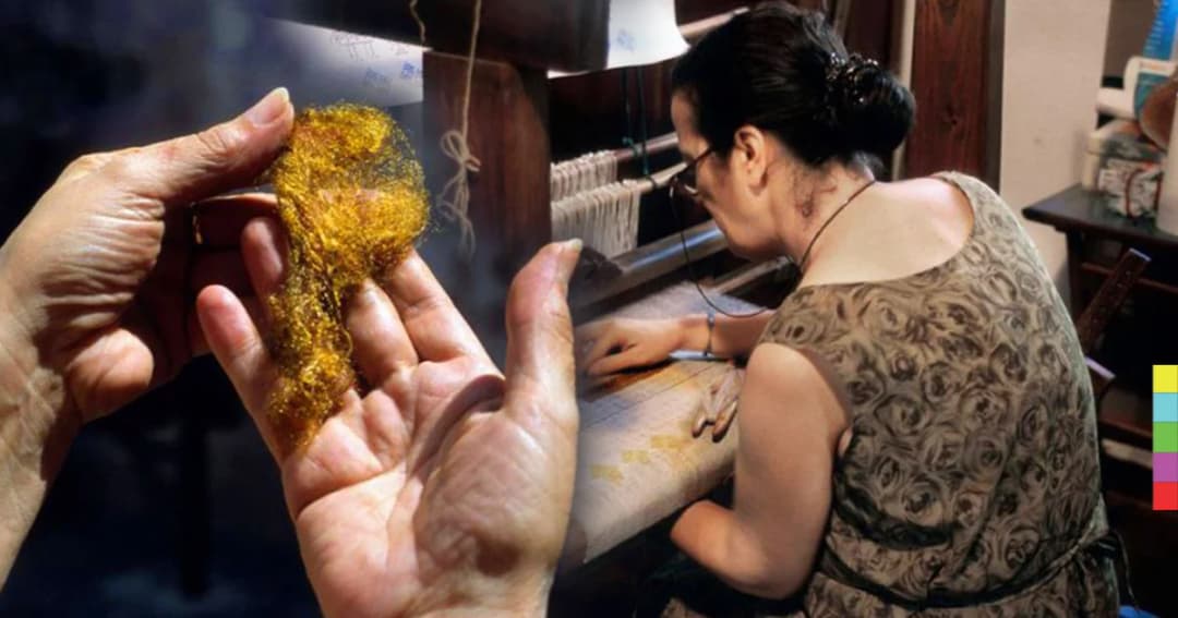 ช่างฝีมือคนสุดท้ายที่ยังทอผ้าไหมหายากจากท้องทะเลอิตาลี