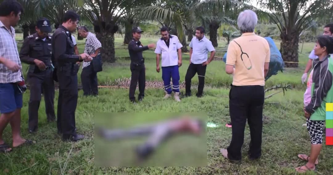 พ่อม่ายจอมขยัน ! เช้ากรีดยาง กลางวันทำสวน กลางคืนเป็นยาม ช็อกดับระหว่างทำงาน