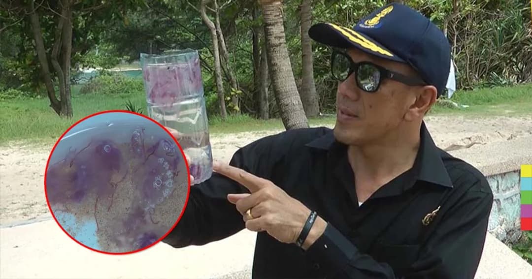 จนท.ติดป้ายเตือน ระวัง “แมงกระพรุนไฟ” หาดในหาน จ.ภูเก็ต