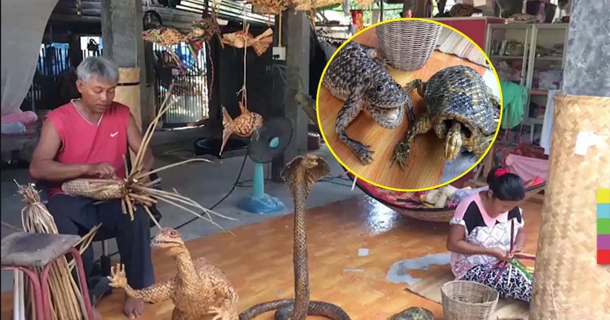 ฝีมือสร้างเงิน ! สองสามีภรรยาใช้เวลาว่าง สานตุ๊กตาผักตบชวา รายได้งาม