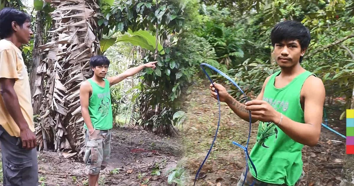 สุดสลด ! หนุ่มใหญ่น้อยใจ ภรรยาขอกลับบ้าน ผูกคอดับใต้ต้นมังคุด