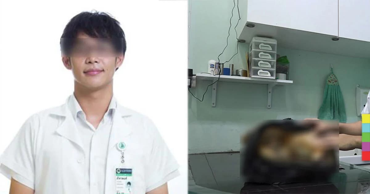 คืบหน้า ! นักศึกษาแพทย์ วางยาฆ่าสุนัข เข้าพบตำรวจเเล้ว ขอให้การในชั้นศาล