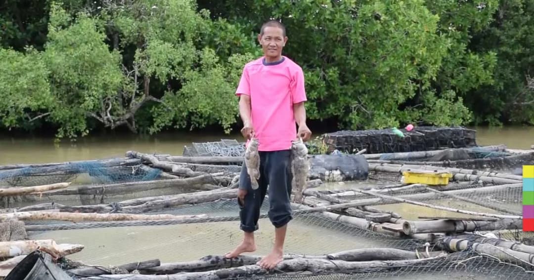 ชาวประมงเลี้ยงปลากระชังเศร้า ปลาน็อกน้ำตายเสียหายนับล้านบาท