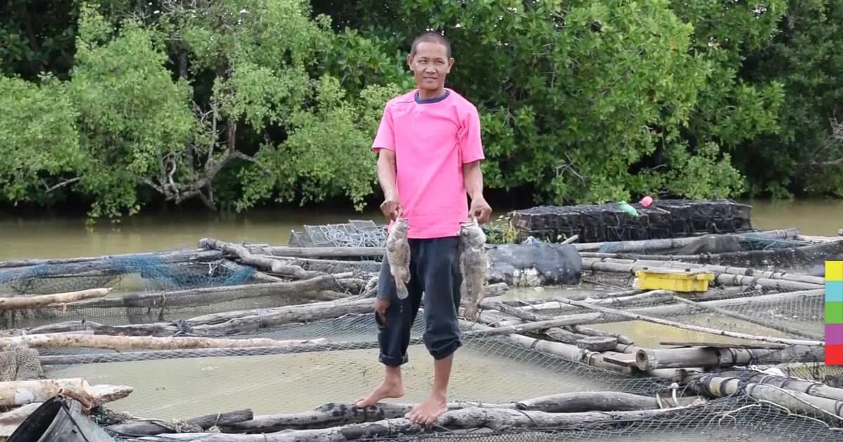 ชาวประมงเลี้ยงปลากระชังเศร้า ปลาน็อกน้ำตายเสียหายนับล้านบาท