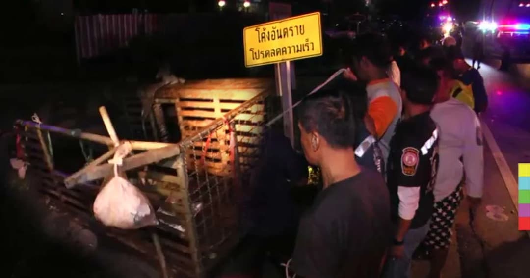 สลด ! สองตายายขับรถพ่วงข้างขายข้าวแกง ถูกกระบะเสยท้าย ดับคาที่ทั้งคู่