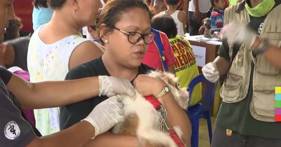 สุดล้ำ ! ฟิลิปปินส์เเปิดตัวแอพลิเคชันเพื่อการฉีดวัคซีนป้องกันพิษสุนัขบ้า