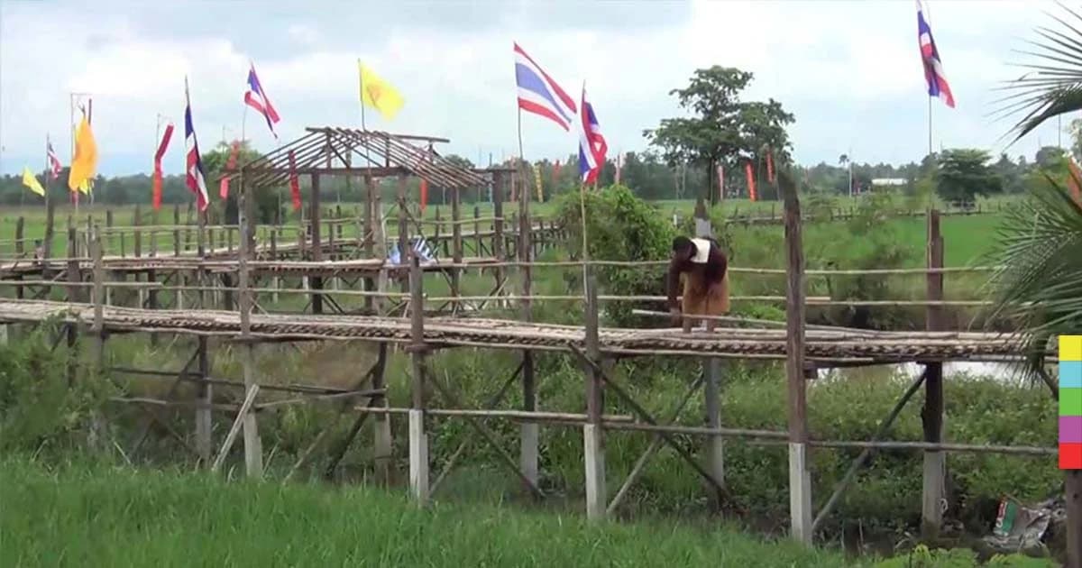 พระสงฆ์เร่งหามไม้ไผ่ สร้างสะพานบุญข้ามไปยังวัดร้างอายุกว่า 200 ปี