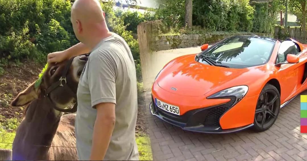 ศาลเยอรมันสั่งชดเชย 2 แสน คดีลาแทะรถสปอร์ตหรู