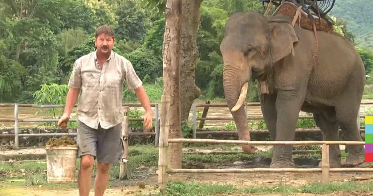 ฝรั่งเก็บขี้ช้าง! เอาไปเป็นปุ๋ย ระบุมันคือทองคำดีๆ นี่เอง