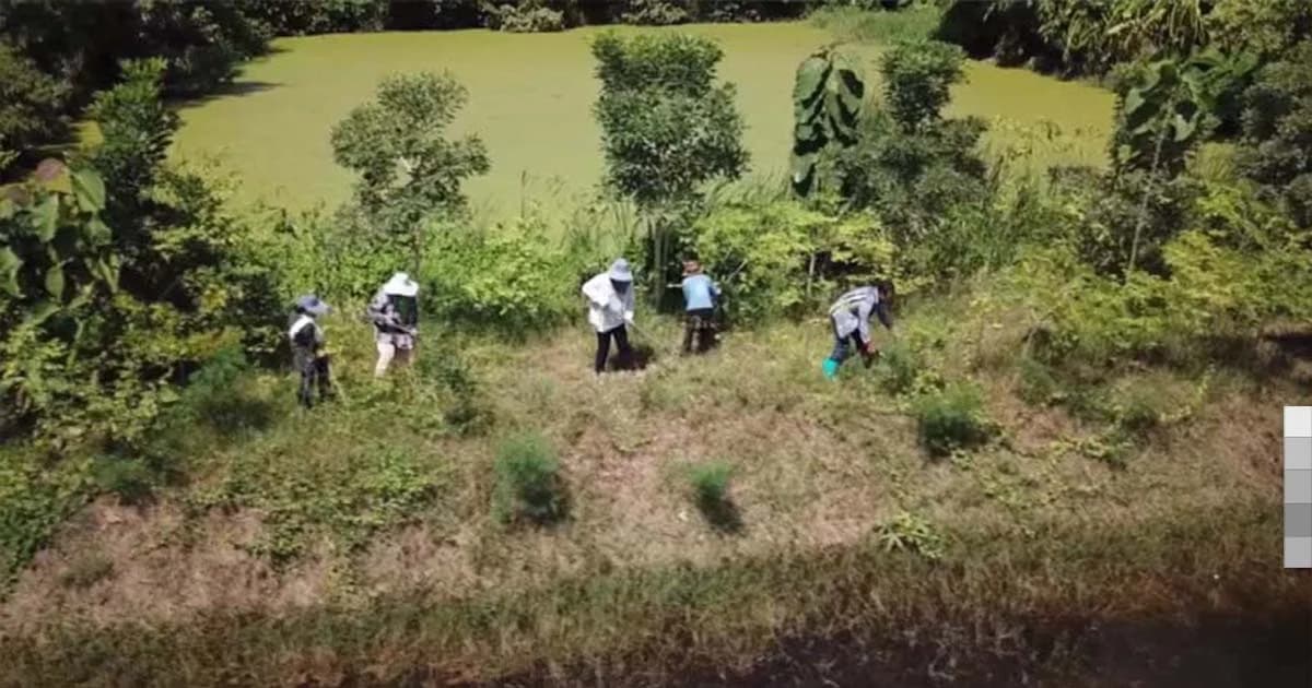 ฟื้นผืนป่า ! ชาวบ้านบ่อมะกรูดเปลี่ยนป่าช้าเก่า สร้างธนาคารต้นไม้นำรายได้สู่ชุมชน