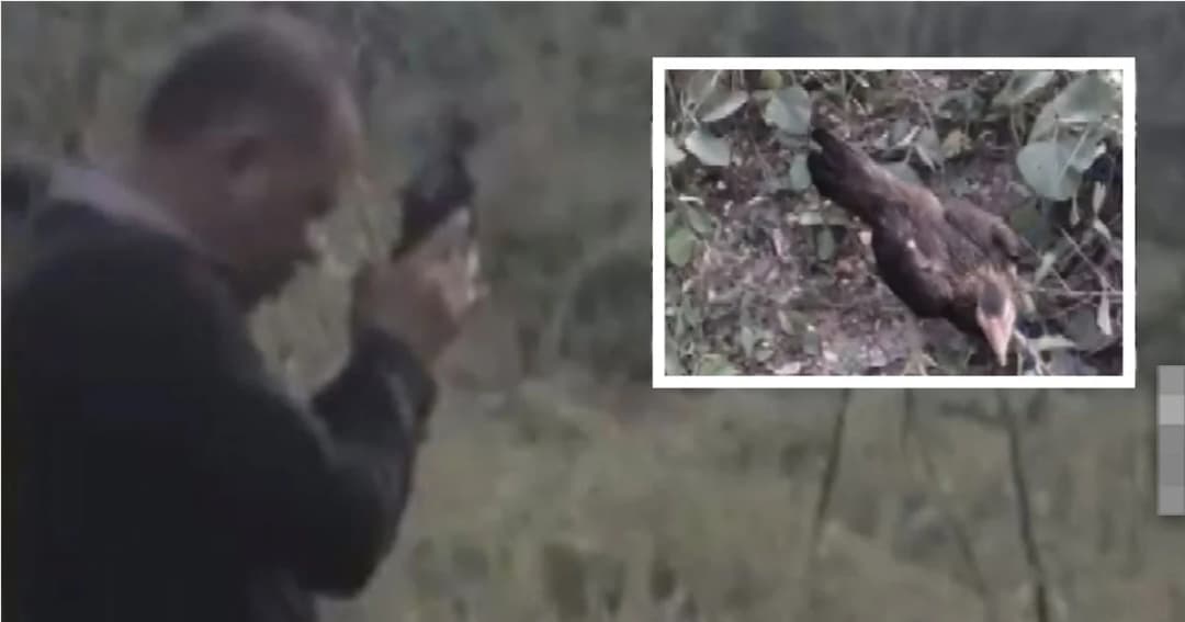 โลกออนไลน์วิจารณ์สนั่น ! กลุ่มชายฉกรรจ์ ยิงไก่เป็นๆ เพื่อลองของขลัง