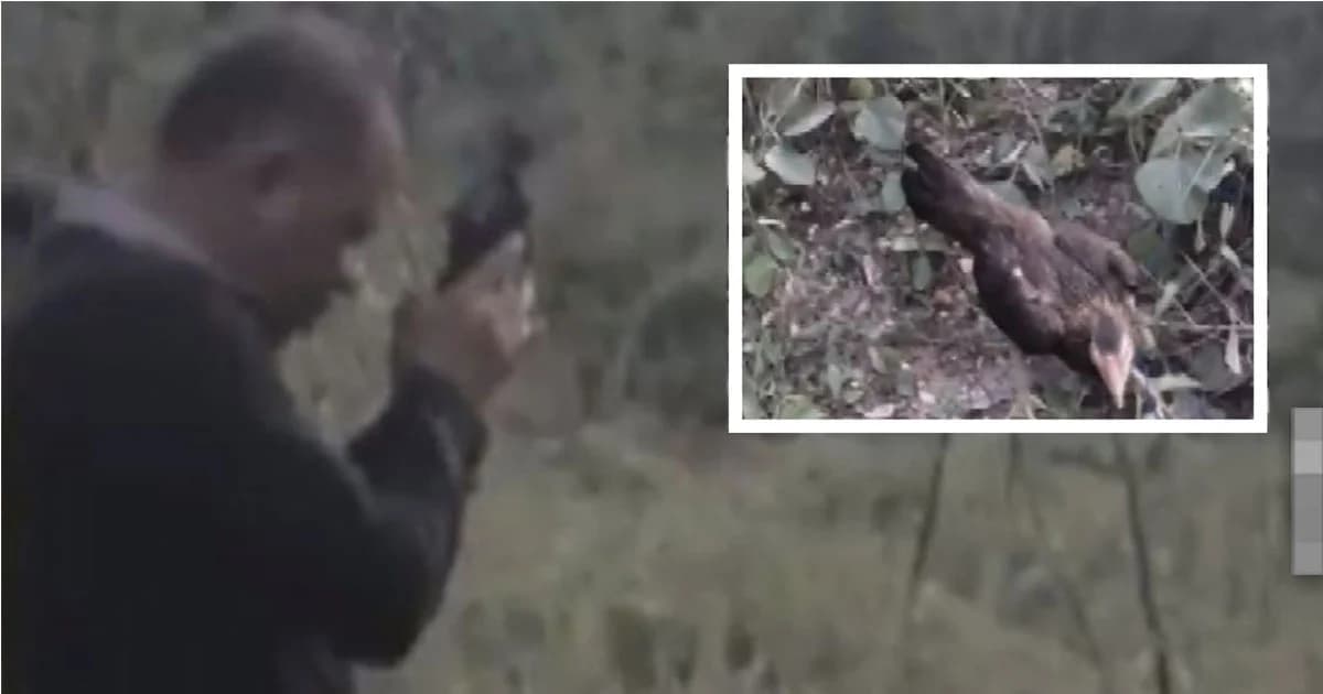 โลกออนไลน์วิจารณ์สนั่น ! กลุ่มชายฉกรรจ์ ยิงไก่เป็นๆ เพื่อลองของขลัง