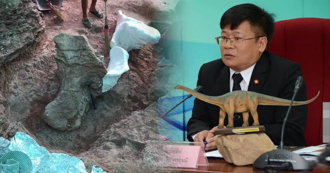 ค้นพบกระดูกไดโนเสาร์สายพันธุ์กินพืช อายุ 100 ล้านปี ใหญ่สุดในไทย