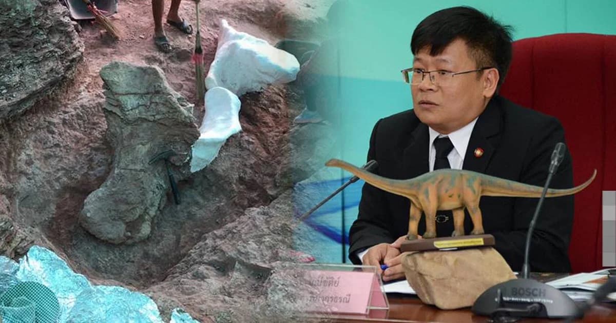 ค้นพบกระดูกไดโนเสาร์สายพันธุ์กินพืช อายุ 100 ล้านปี ใหญ่สุดในไทย