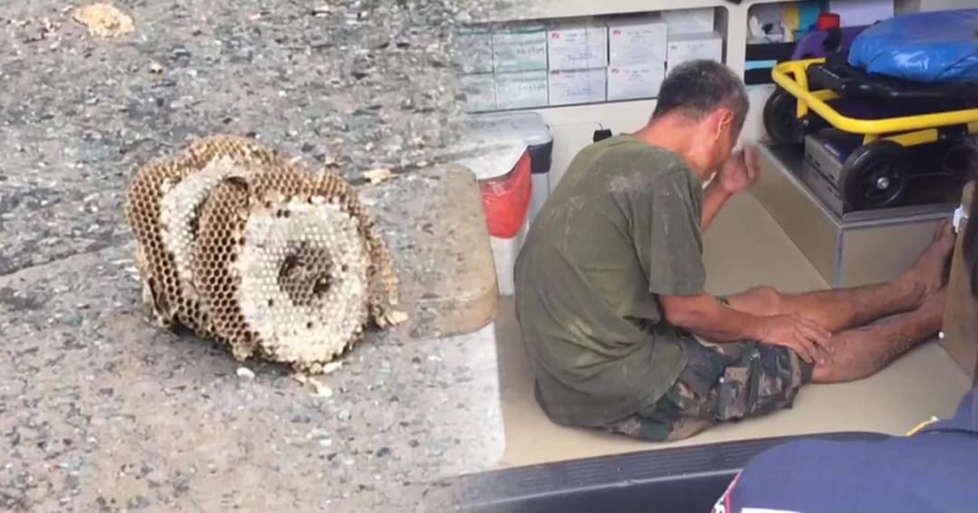 หนุ่มใหญ่เมา ใช้ไม้เขี่ยรังต่อ ถูกรุมต่อยบาดเจ็บจนเดินไม่ได้