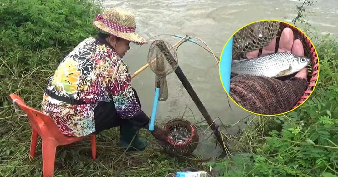 พลิกวิกฤต ! น้ำท่วมที่นาชาวบ้านออกดักปลากลางทุ่ง สร้างรายได้งาม