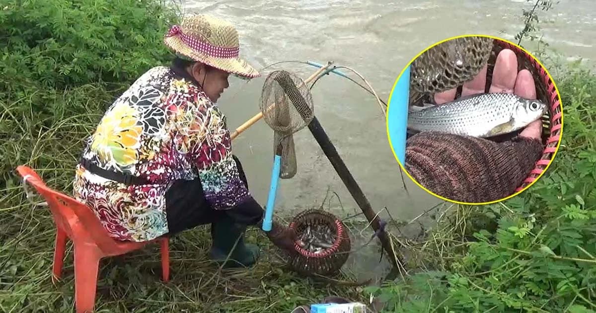 พลิกวิกฤต ! น้ำท่วมที่นาชาวบ้านออกดักปลากลางทุ่ง สร้างรายได้งาม