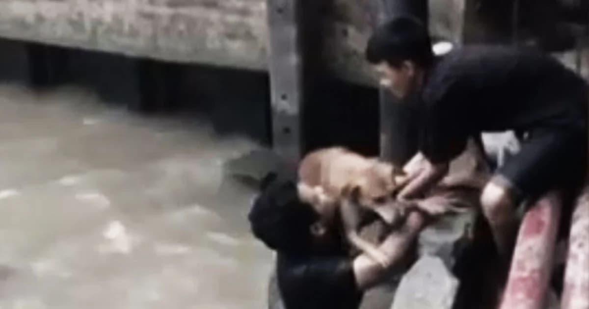 ชาวเน็ตเเห่ชื่นชม ! 2 วัยรุ่นหัวใจหล่อมาก ลงไปช่วยสุนัขตกน้ำ นำขึ้นฝั่งได้อย่างปลอดภัย