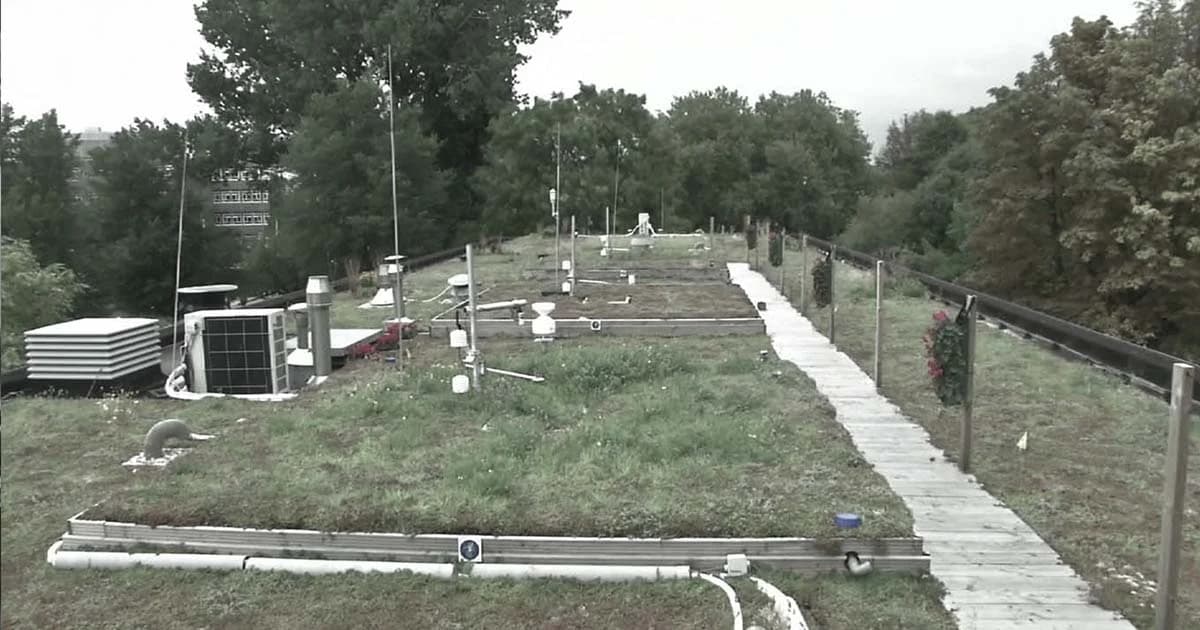 สุดล้ำ ! นักวิจัยชาวเนเธอร์แลนด์ออกแบบสวนบนหลังคาบ้าน เพิ่มพื้นที่สีเขียวในเมือง