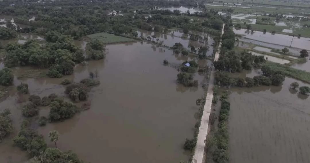 ชาวนาเดือดร้อน ! น้ำมูลทะลักท่วมนาข้าวท้ายเขื่อนพิมาย เสียหายนับพันไร่