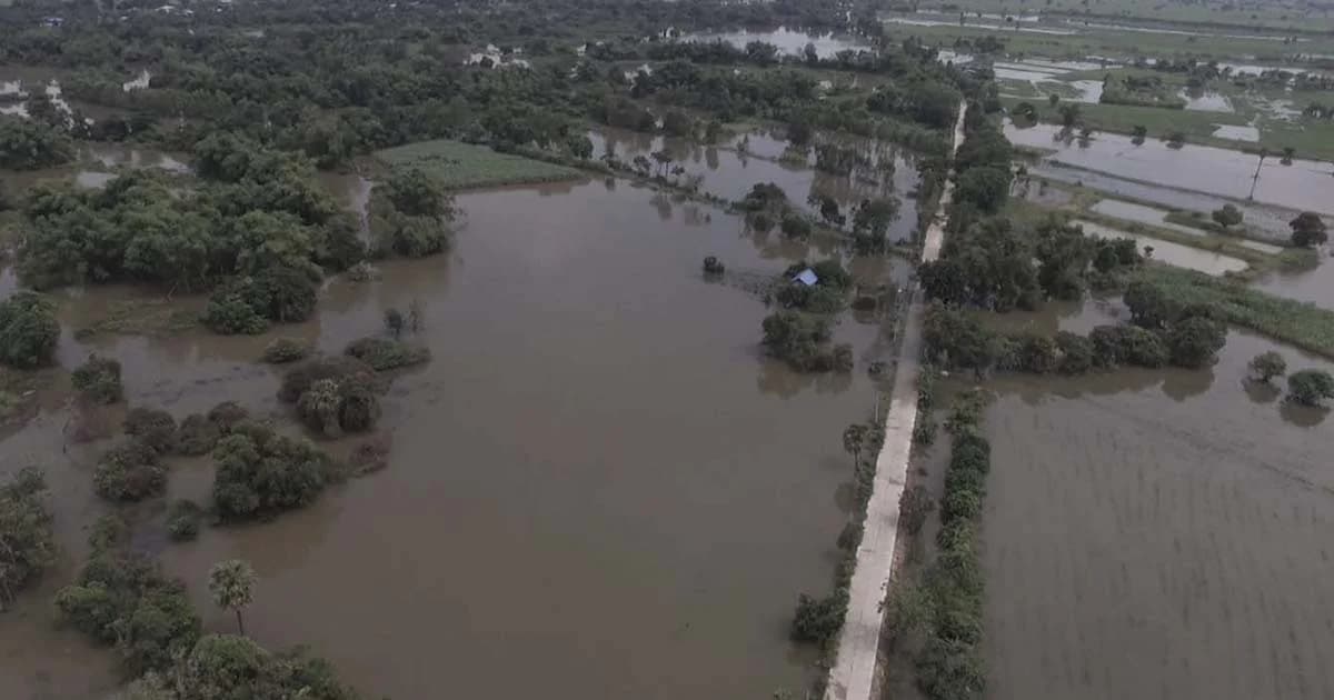 ชาวนาเดือดร้อน ! น้ำมูลทะลักท่วมนาข้าวท้ายเขื่อนพิมาย เสียหายนับพันไร่