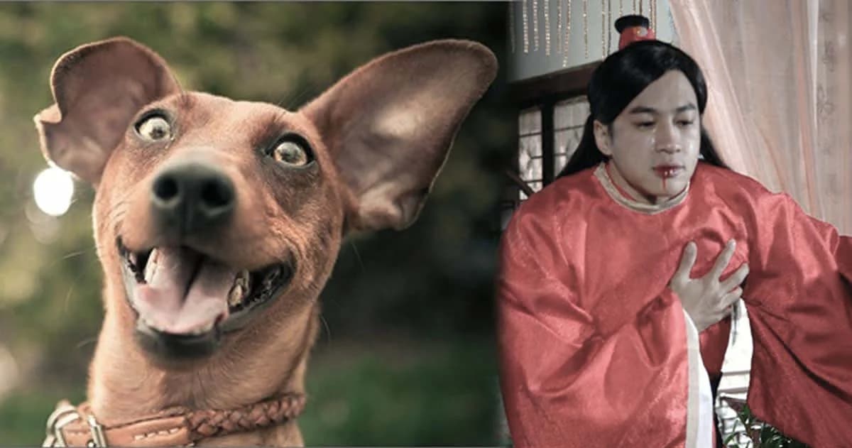 10 หน้า สุดฮา เมื่อรู้ว่า “พรุ่งนี้วันจันทร์”