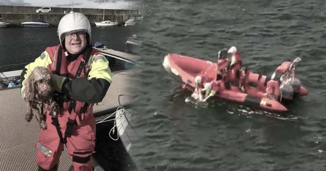 ระทึก ! กลุ่ม รปภ. ระดมกำลัง ช่วยลูกสุนัขพลัดตกทะเล ที่ชายฝั่งสก็อตแลนด์