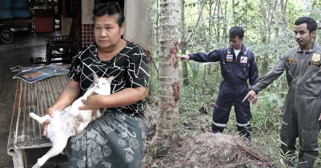 ผวา ! หมีอาละวาด ชาวบ้านเห็นคาตากัดแมวหวิดดับ ทำลายพืชสวนเสียหายจำนวนมาก