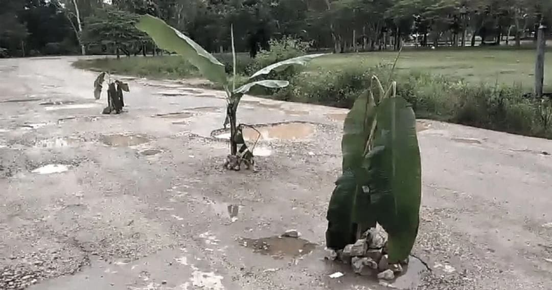ถนนชำรุดหนัก ! ‘มือปริศนา’ ปลูกต้นกล้วยกลางถนน คาด สุดทน ไม่ได้รับการเหลียวเเล