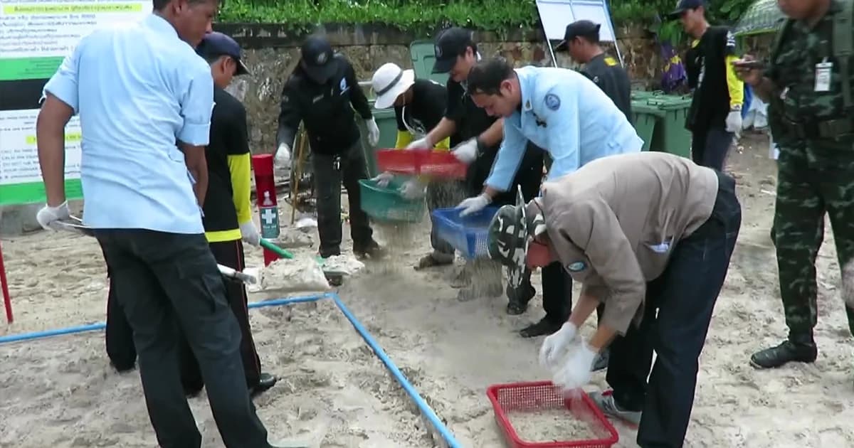 เอาจริง! ทช.ลงพื้นที่เก็บตัวอย่างก้นบุหรี่ เดินหน้าโครงการชายหาดปลอดบุหรี่