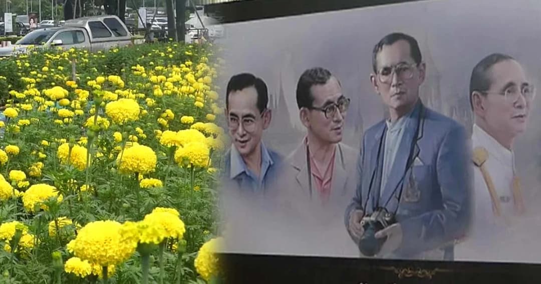 ดาวเรืองสะพรั่งทั่วห้าง ชาวปทุมธานีชื่นชมนิทรรศการรำลึกถึงพ่อหลวง ร.9