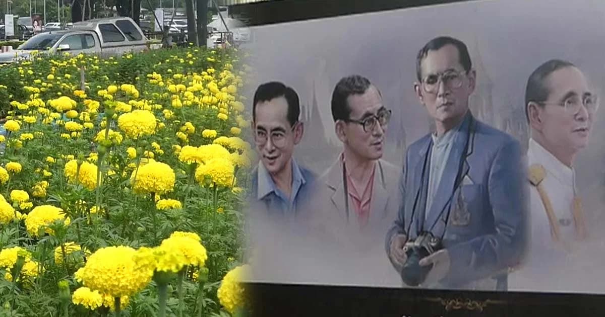 ดาวเรืองสะพรั่งทั่วห้าง ชาวปทุมธานีชื่นชมนิทรรศการรำลึกถึงพ่อหลวง ร.9