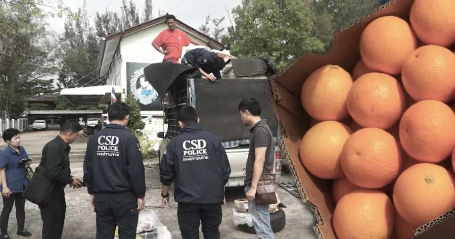 กองปราบจับ ! ลักลอบนำเข้าเนื้อควาย ตีนไก่ และส้มจากต่างประเทศ 8 ตัน มูลค่ากว่าล้านบาท