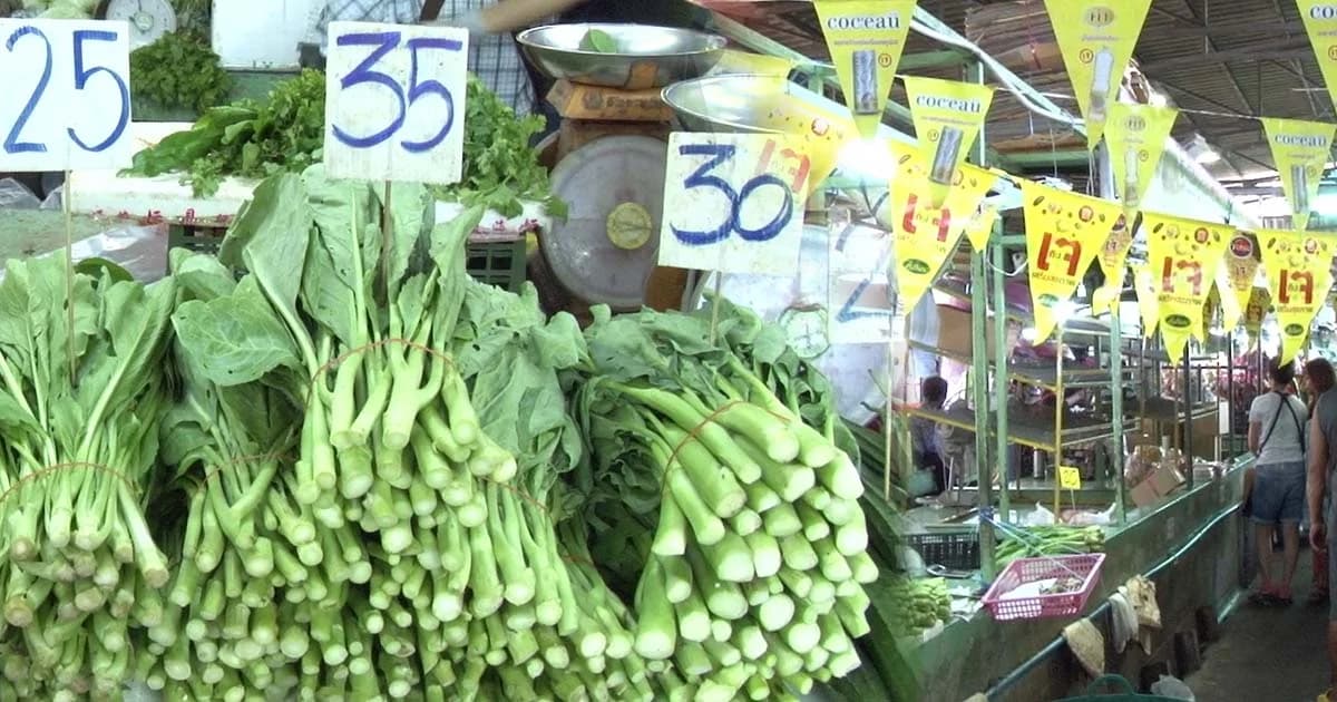 ราคาผักพุ่ง ! หลังฝนตก-น้ำท่วม กระทบเทศกาลกินเจ