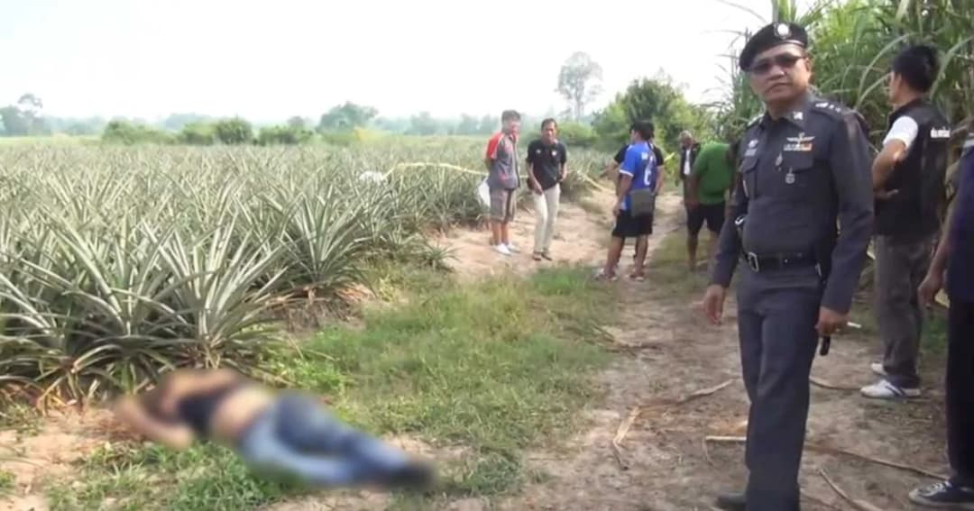 หนุ่มโรงงานถูกยิงดับคาไร่สับปะรด