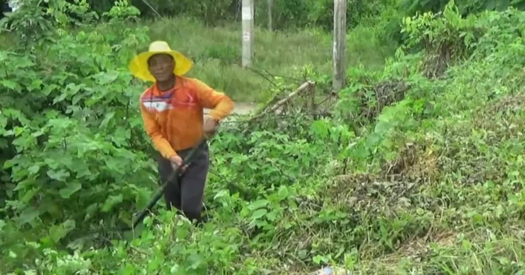 หนุ่มสุโขทัยใช้เวลาหลังเลิกงานตัดหญ้ารกข้างทางกว่า 14 ปี