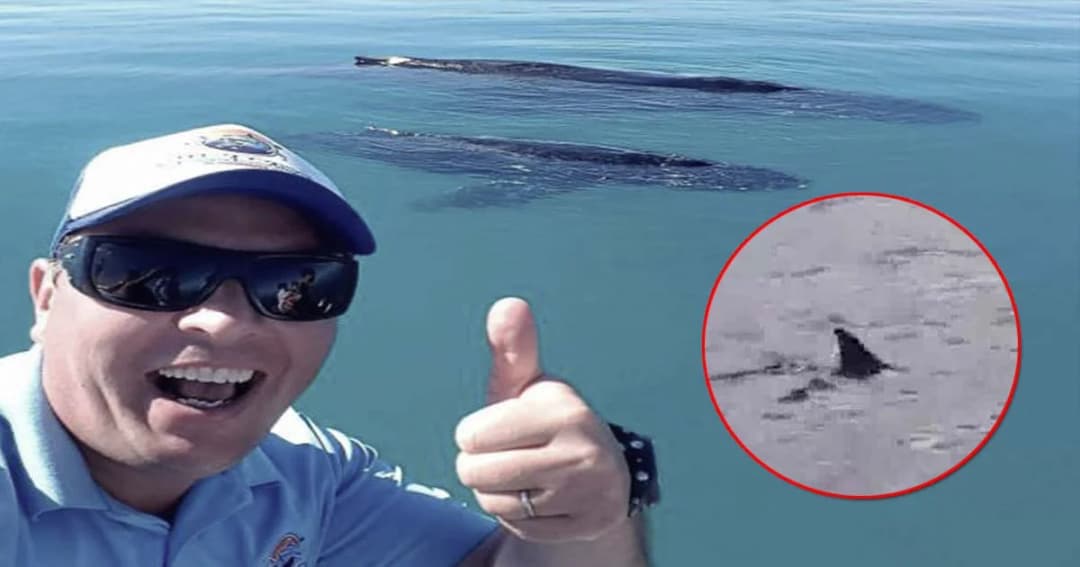 นาทีชีวิต ! หนุ่มนักดำน้ำพลัดลงจากเรือ ว่ายหนีฉลามกว่า 7 กม.ขึ้นฝั่ง