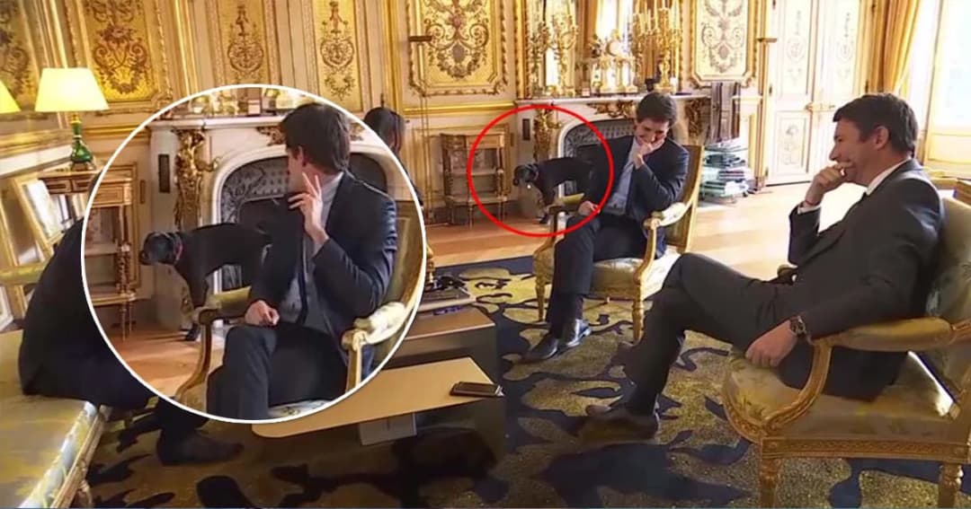 คณะรัฐมนตรีฮากระจาย ! สุนัขผู้นำฝรั่งเศสก่อวีรกรรม ฉี่ใส่เตาผิงในวังเอลิเซ