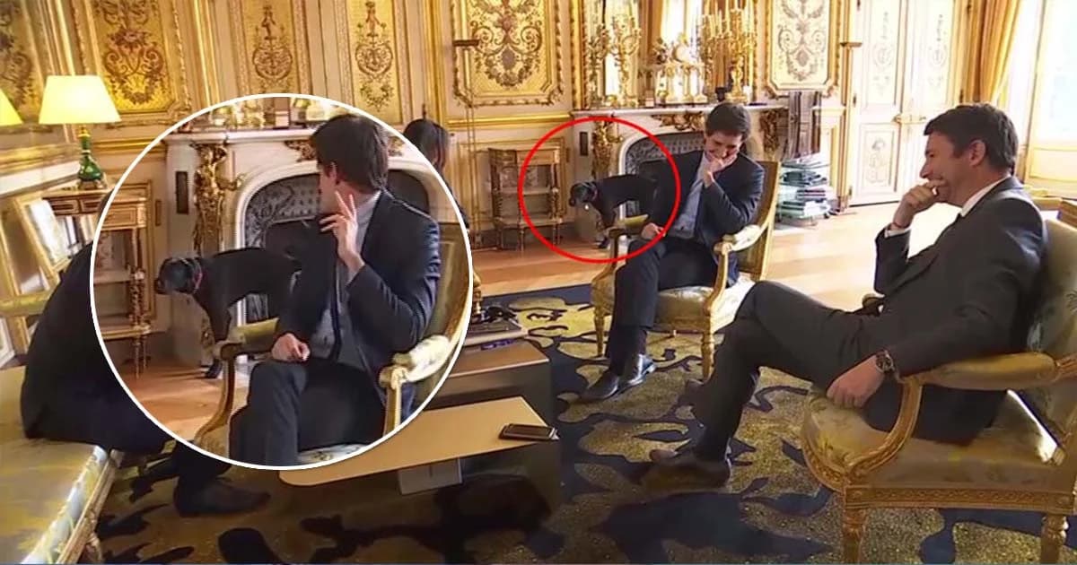 คณะรัฐมนตรีฮากระจาย ! สุนัขผู้นำฝรั่งเศสก่อวีรกรรม ฉี่ใส่เตาผิงในวังเอลิเซ