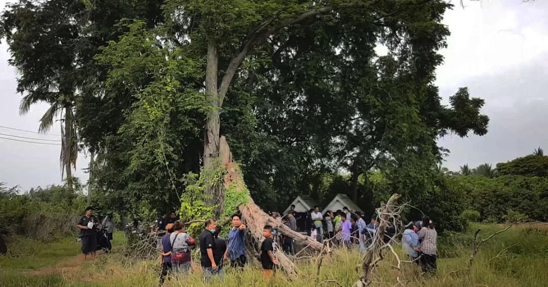 น้อยใจ ภรรยาหนีออกจากบ้าน ! หนุ่มใหญ่ผูกคอดับ ใต้ต้นมะขามยักษ์ หน้าศาลเจ้าพ่อ